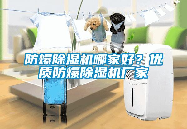 防爆除濕機哪家好？優(yōu)質(zhì)防爆除濕機廠家