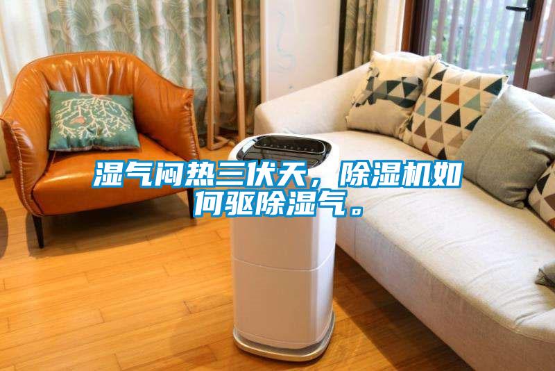 濕氣悶熱三伏天，除濕機如何驅(qū)除濕氣。