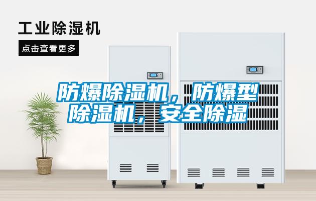 防爆除濕機(jī)，防爆型除濕機(jī)，安全除濕