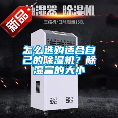 怎么選購適合自己的除濕機？除濕量的大小