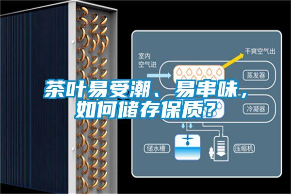 茶葉易受潮、易串味，如何儲存保質(zhì)？