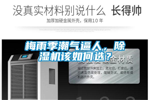 梅雨季潮氣逼人，除濕機(jī)該如何選？