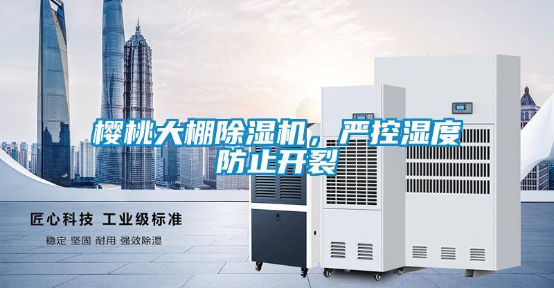 櫻桃大棚除濕機(jī)，嚴(yán)控濕度防止開裂