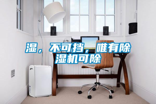 濕，不可擋，唯有除濕機可除