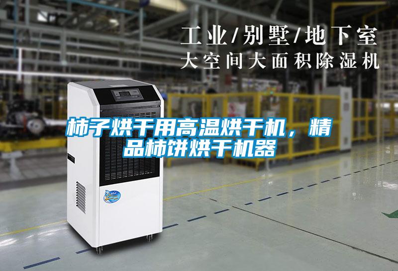 柿子烘干用高溫烘干機(jī)，精品柿餅烘干機(jī)器