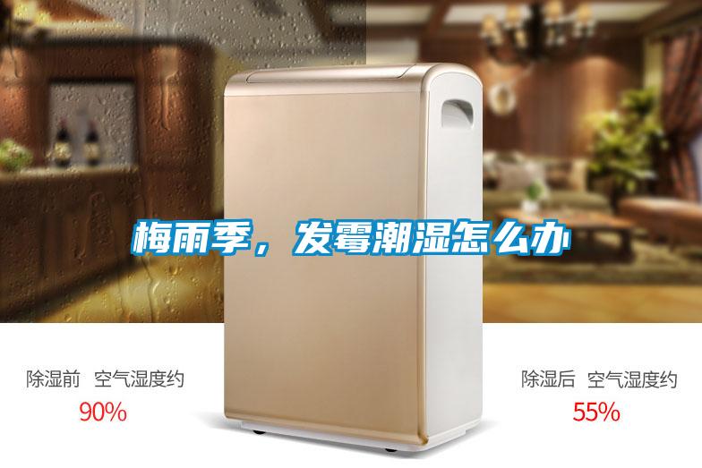 梅雨季，發(fā)霉潮濕怎么辦