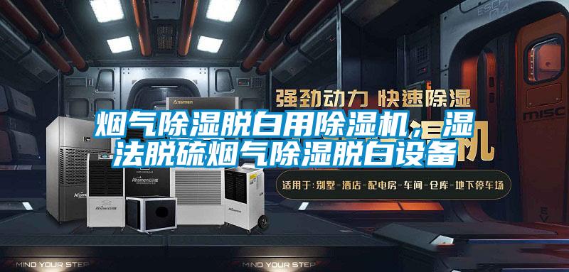煙氣除濕脫白用除濕機(jī)，濕法脫硫煙氣除濕脫白設(shè)備
