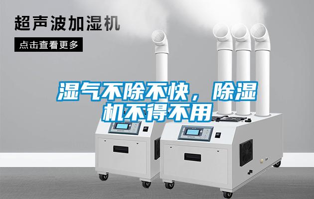 濕氣不除不快，除濕機不得不用