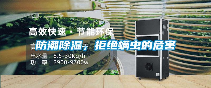防潮除濕，拒絕螨蟲的危害