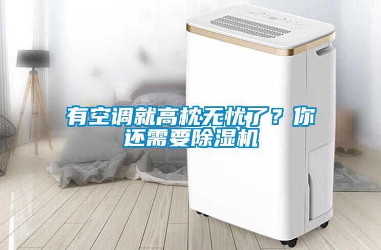 有空調(diào)就高枕無(wú)憂(yōu)了？你還需要除濕機(jī)