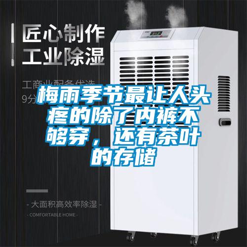 梅雨季節(jié)最讓人頭疼的除了內褲不夠穿，還有茶葉的存儲