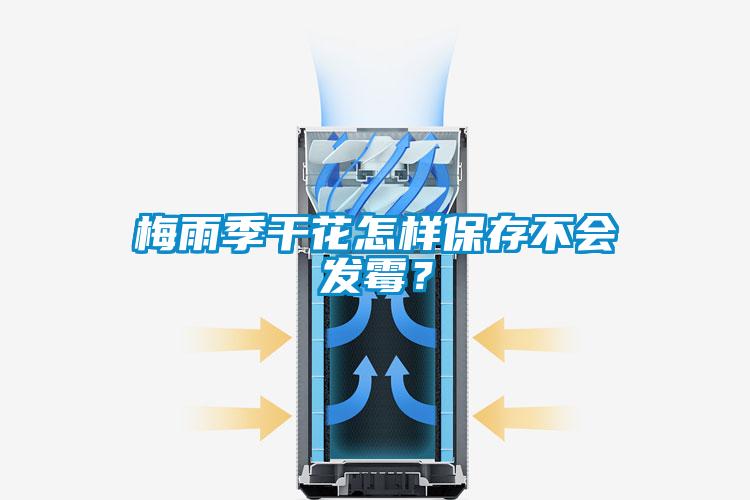 梅雨季干花怎樣保存不會(huì)發(fā)霉？