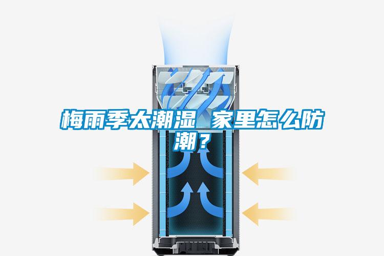 梅雨季太潮濕 家里怎么防潮？