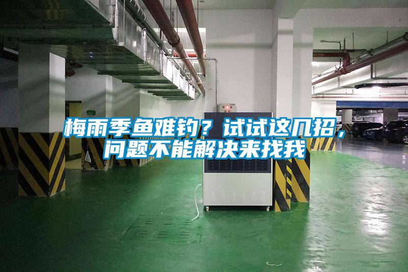 梅雨季魚難釣？試試這幾招，問題不能解決來找我