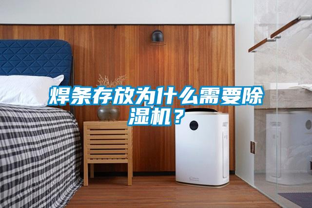 焊條存放為什么需要除濕機？