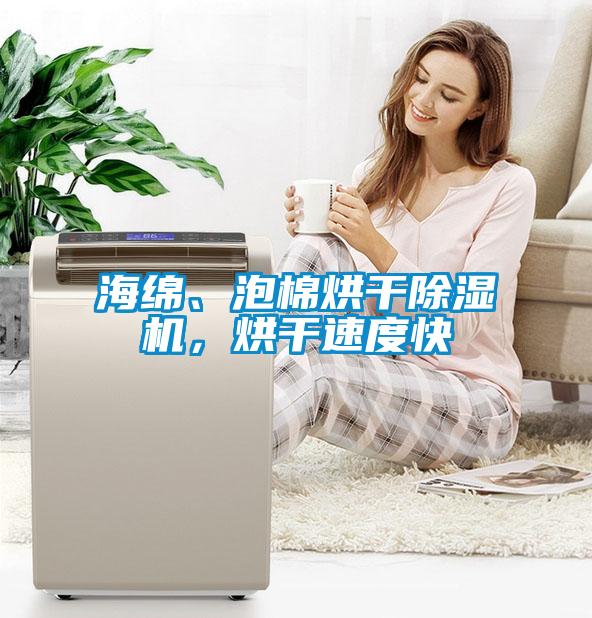 海綿、泡棉烘干除濕機，烘干速度快