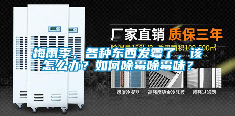 梅雨季，各種東西發(fā)霉了，該怎么辦？如何除霉除霉味？