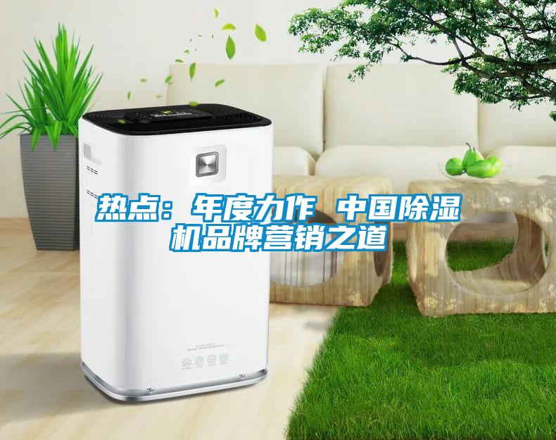 熱點(diǎn)：年度力作 中國(guó)除濕機(jī)品牌營(yíng)銷(xiāo)之道