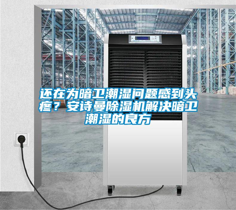還在為暗衛(wèi)潮濕問題感到頭疼？安詩曼除濕機解決暗衛(wèi)潮濕的良方