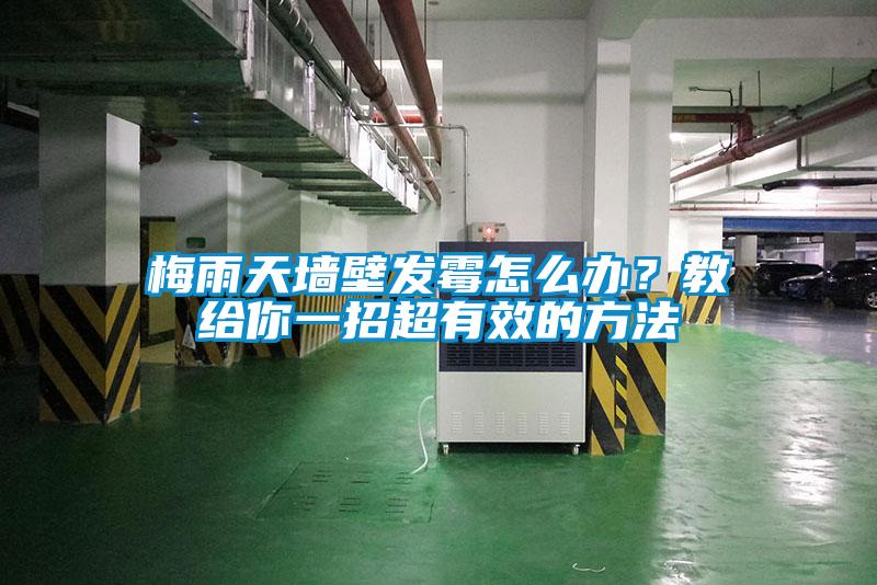 梅雨天墻壁發(fā)霉怎么辦？教給你一招超有效的方法
