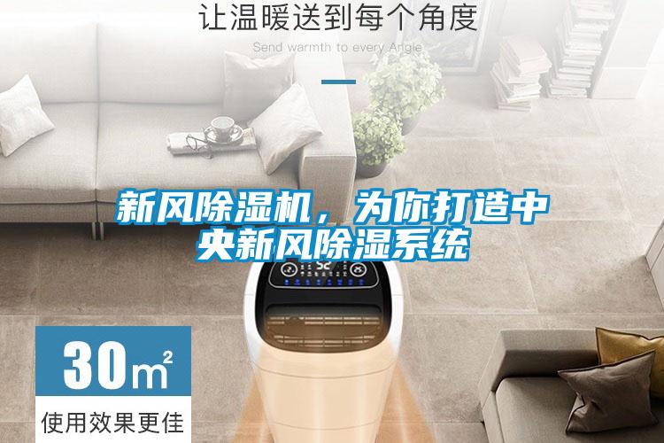 新風(fēng)除濕機(jī)，為你打造中央新風(fēng)除濕系統(tǒng)