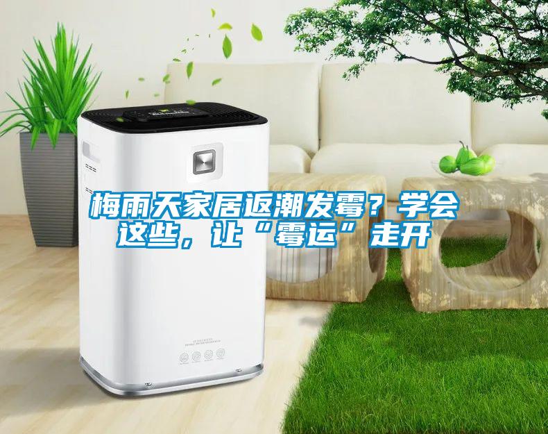 梅雨天家居返潮發(fā)霉？學(xué)會(huì)這些，讓“霉運(yùn)”走開