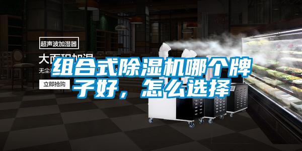 組合式除濕機(jī)哪個牌子好，怎么選擇