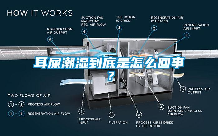 耳屎潮濕到底是怎么回事？