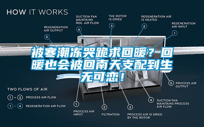 被寒潮凍哭跪求回暖？回暖也會(huì)被回南天支配到生無可戀！