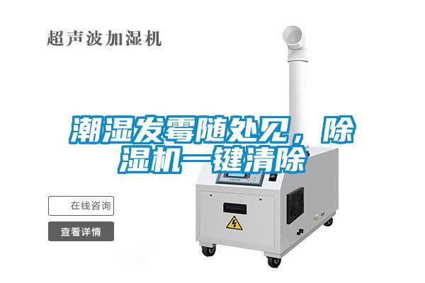 潮濕發(fā)霉隨處見，除濕機一鍵清除