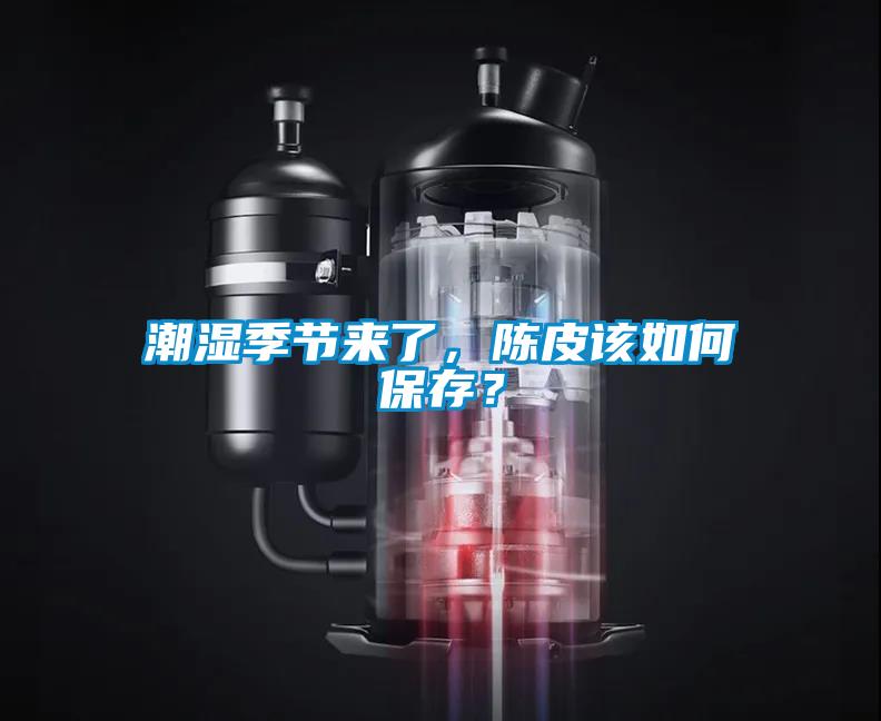 潮濕季節(jié)來了，陳皮該如何保存？