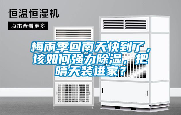 梅雨季回南天快到了，該如何強力除濕，把晴天裝進家？