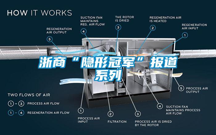 浙商“隱形冠軍”報(bào)道系列