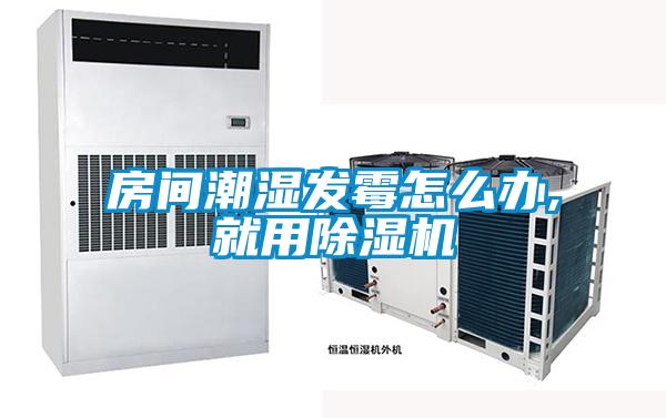 房間潮濕發(fā)霉怎么辦,就用除濕機