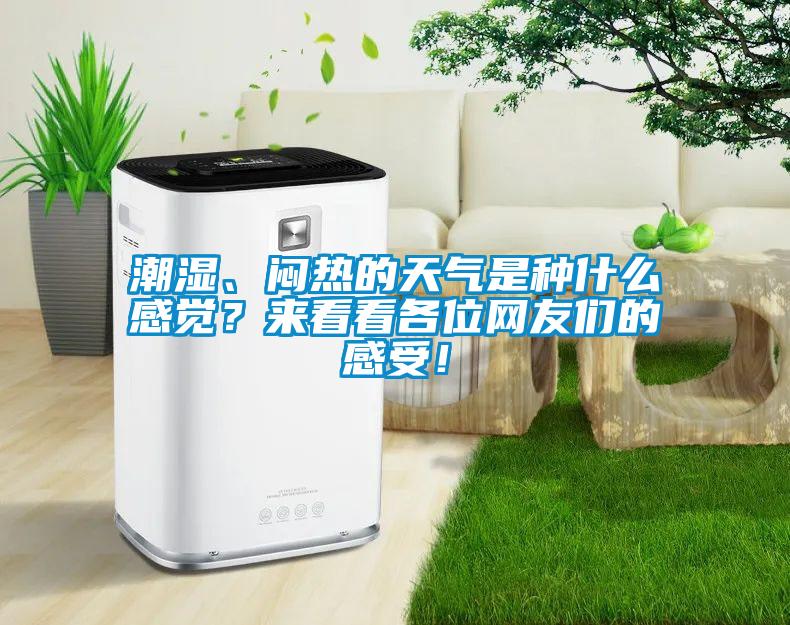 潮濕、悶熱的天氣是種什么感覺？來看看各位網(wǎng)友們的感受！