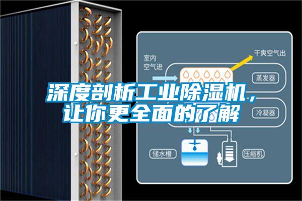 深度剖析工業(yè)除濕機(jī)，讓你更全面的了解