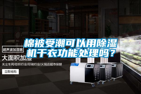 棉被受潮可以用除濕機(jī)干衣功能處理嗎？
