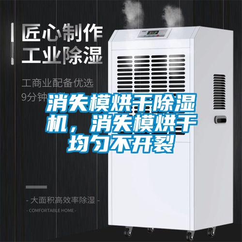 消失模烘干除濕機(jī)，消失模烘干均勻不開(kāi)裂