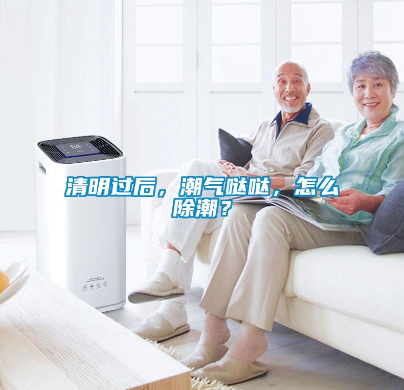 清明過(guò)后，潮氣噠噠，怎么除潮？
