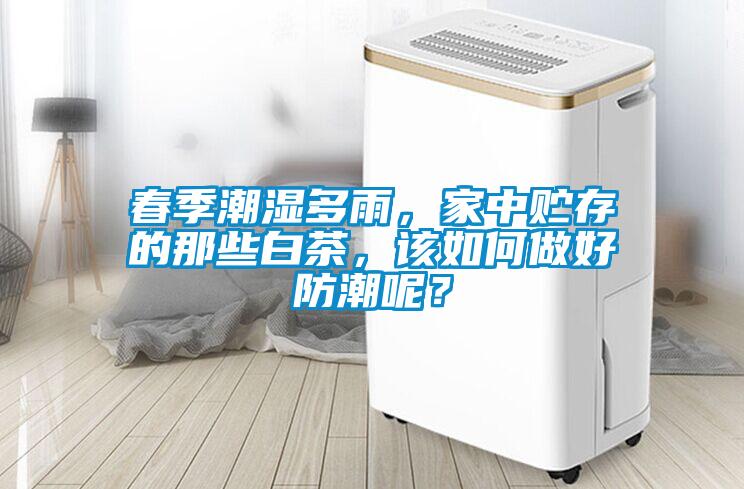 春季潮濕多雨，家中貯存的那些白茶，該如何做好防潮呢？