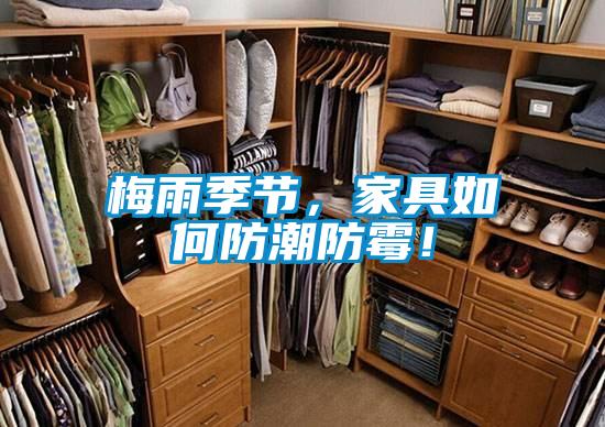 梅雨季節(jié)，家具如何防潮防霉！