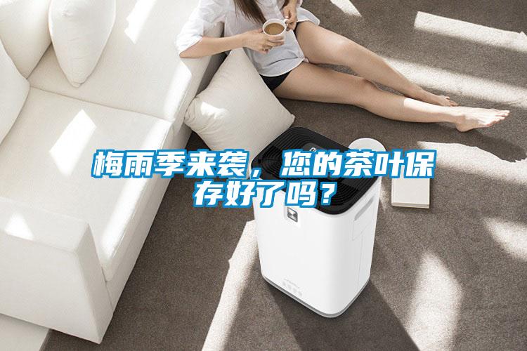 梅雨季來襲，您的茶葉保存好了嗎？