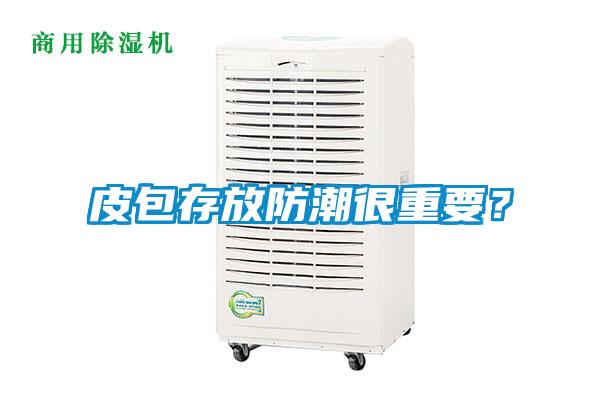 皮包存放防潮很重要？