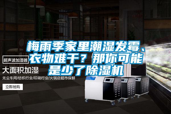 梅雨季家里潮濕發(fā)霉、衣物難干？那你可能是少了除濕機(jī)