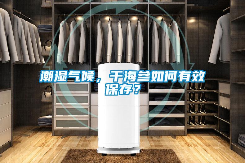 潮濕氣候，干海參如何有效保存？