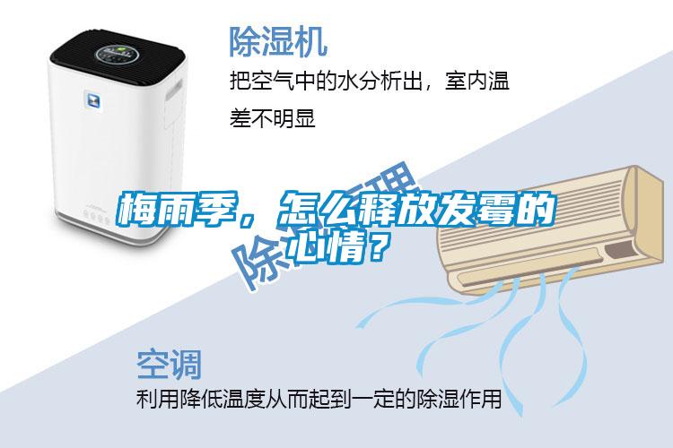 梅雨季，怎么釋放發(fā)霉的心情？