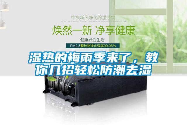 濕熱的梅雨季來了，教你幾招輕松防潮去濕