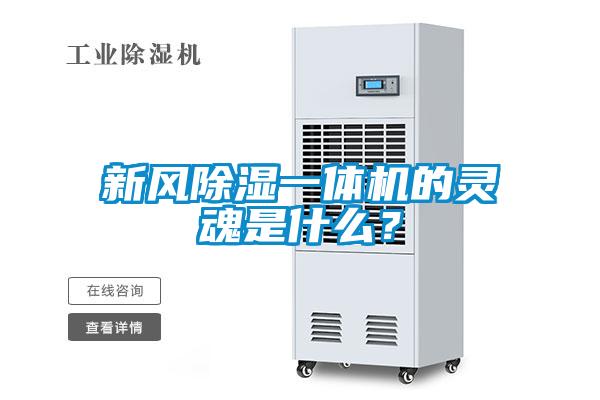 新風(fēng)除濕一體機(jī)的靈魂是什么？