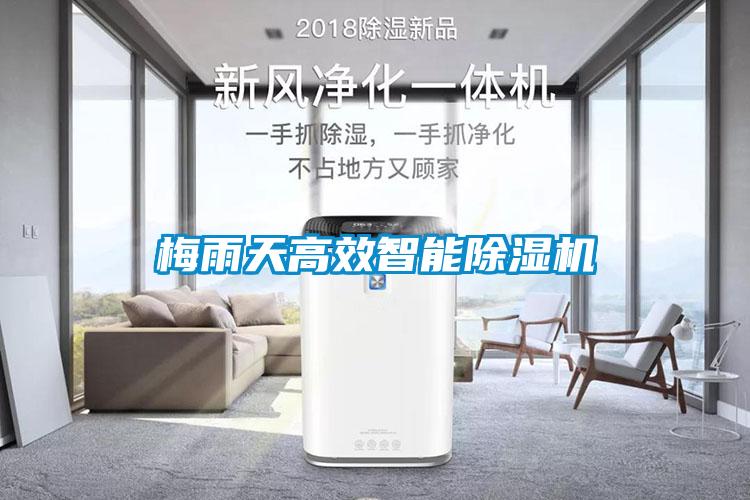 梅雨天高效智能除濕機(jī)