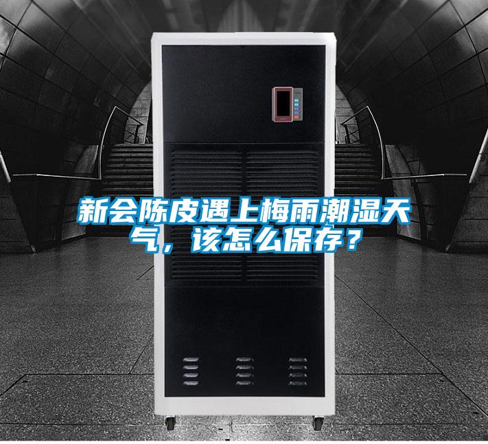 新會陳皮遇上梅雨潮濕天氣，該怎么保存？